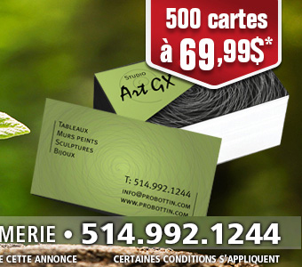 impression-cartes-d-affaires-ecologiques-conception-8.jpg